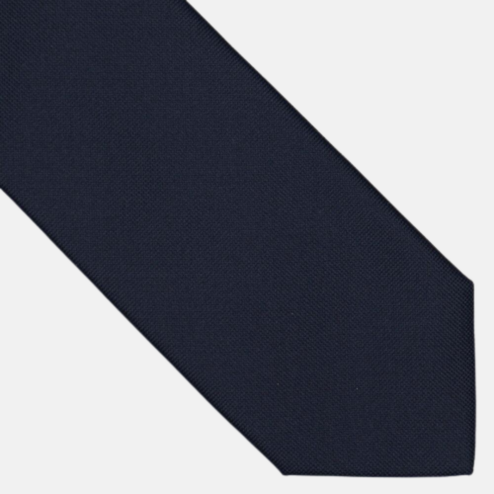 Solid Blue Panamino Silk Tie - TAL263