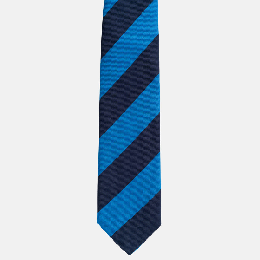 Regimental Blue Silk Tie TAL 504