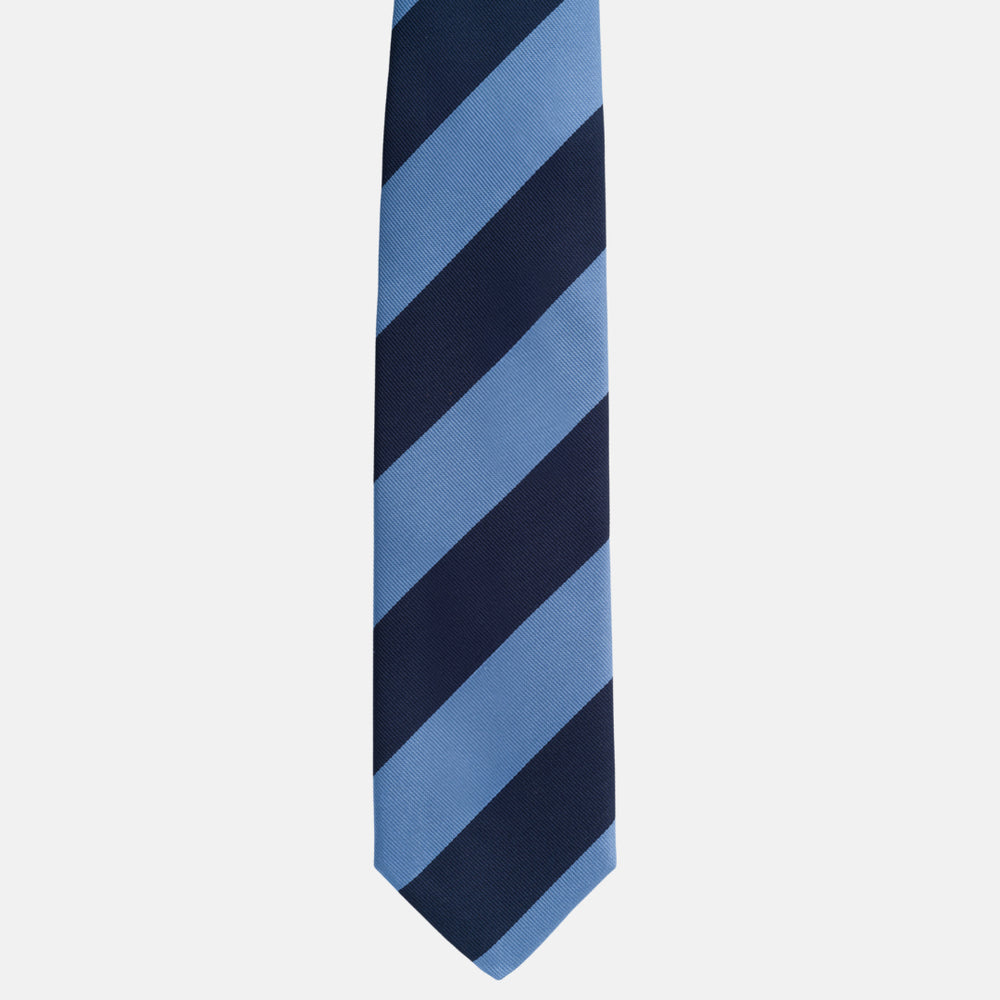 Sky Blue Regimental Silk Tie TAL 505