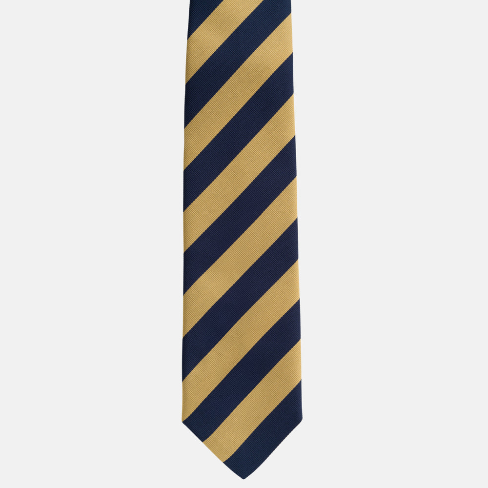 Regimental Blue Gold Silk Tie TAL 511