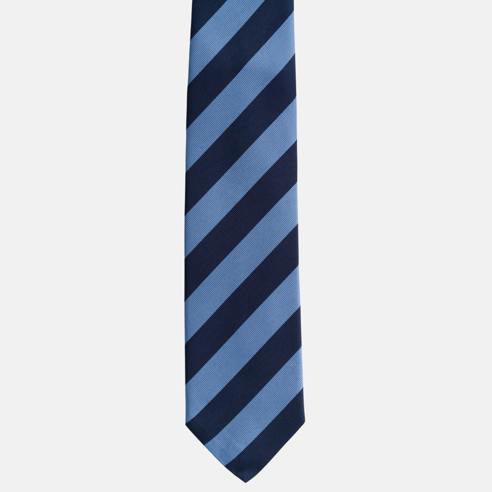 Sky Blue Regimental Silk Tie TAL 513