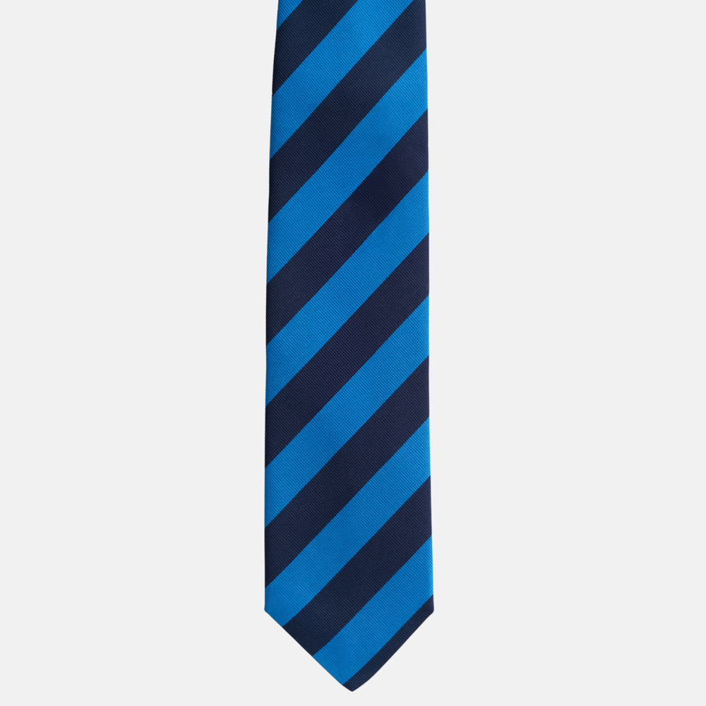 Silk Regimental Tie Blue Light Blue TAL 514