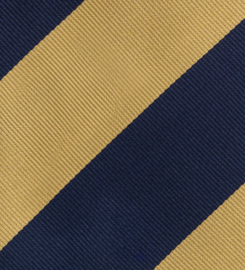 Regimental Blue Gold Silk Tie - TAL 501