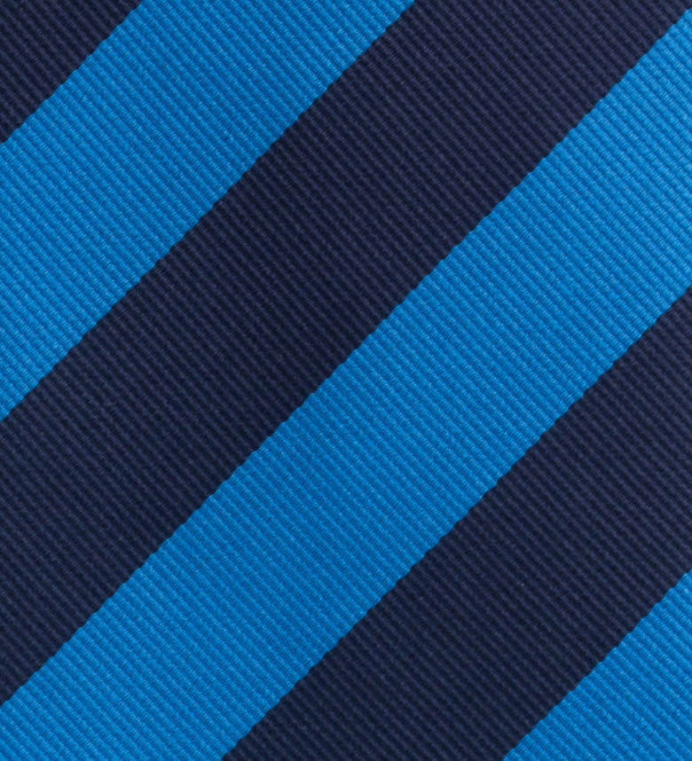 Silk Regimental Tie Blue Light Blue TAL 514