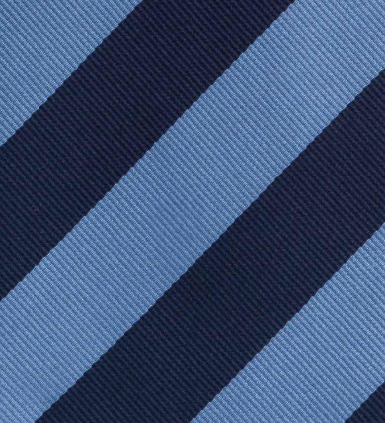 Sky Blue Regimental Silk Tie TAL 513