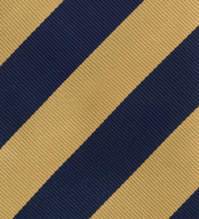 Regimental Blue Gold Silk Tie TAL 511