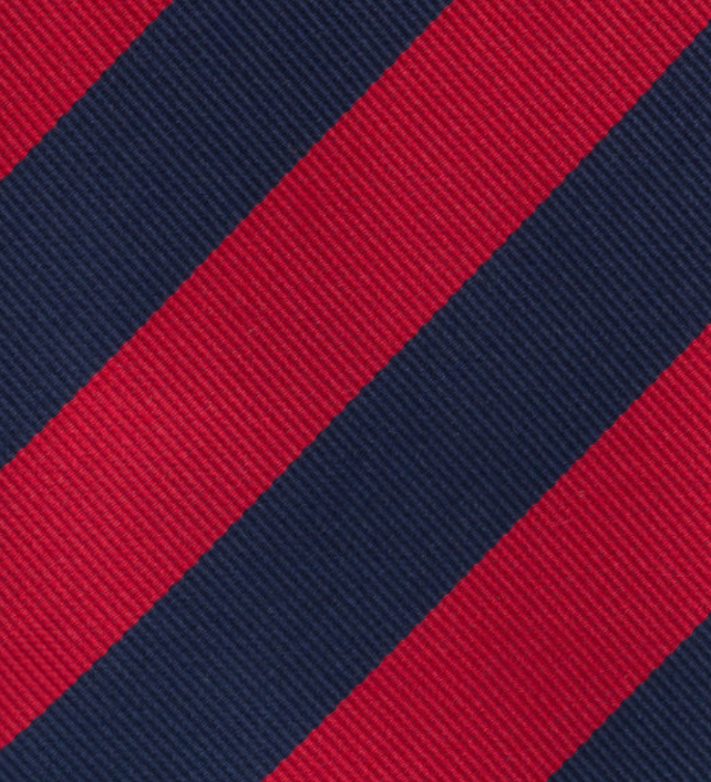 Regimental Blue Red Silk Tie TAL 510