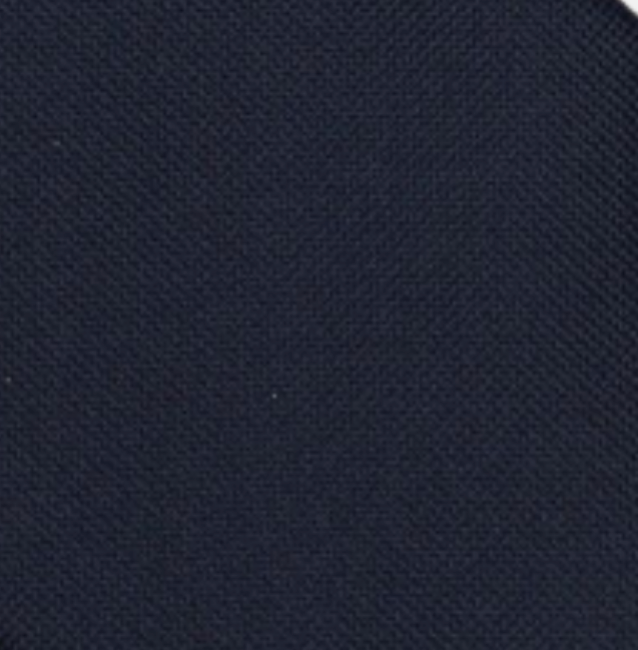 Solid Blue Panamino Silk Tie - TAL263