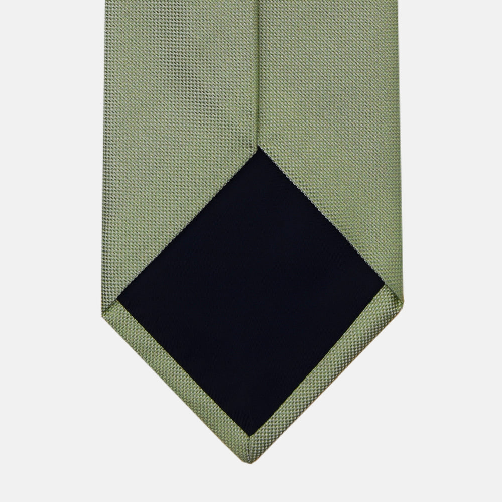 Green Solid Color Panamino Silk Tie - TAL282
