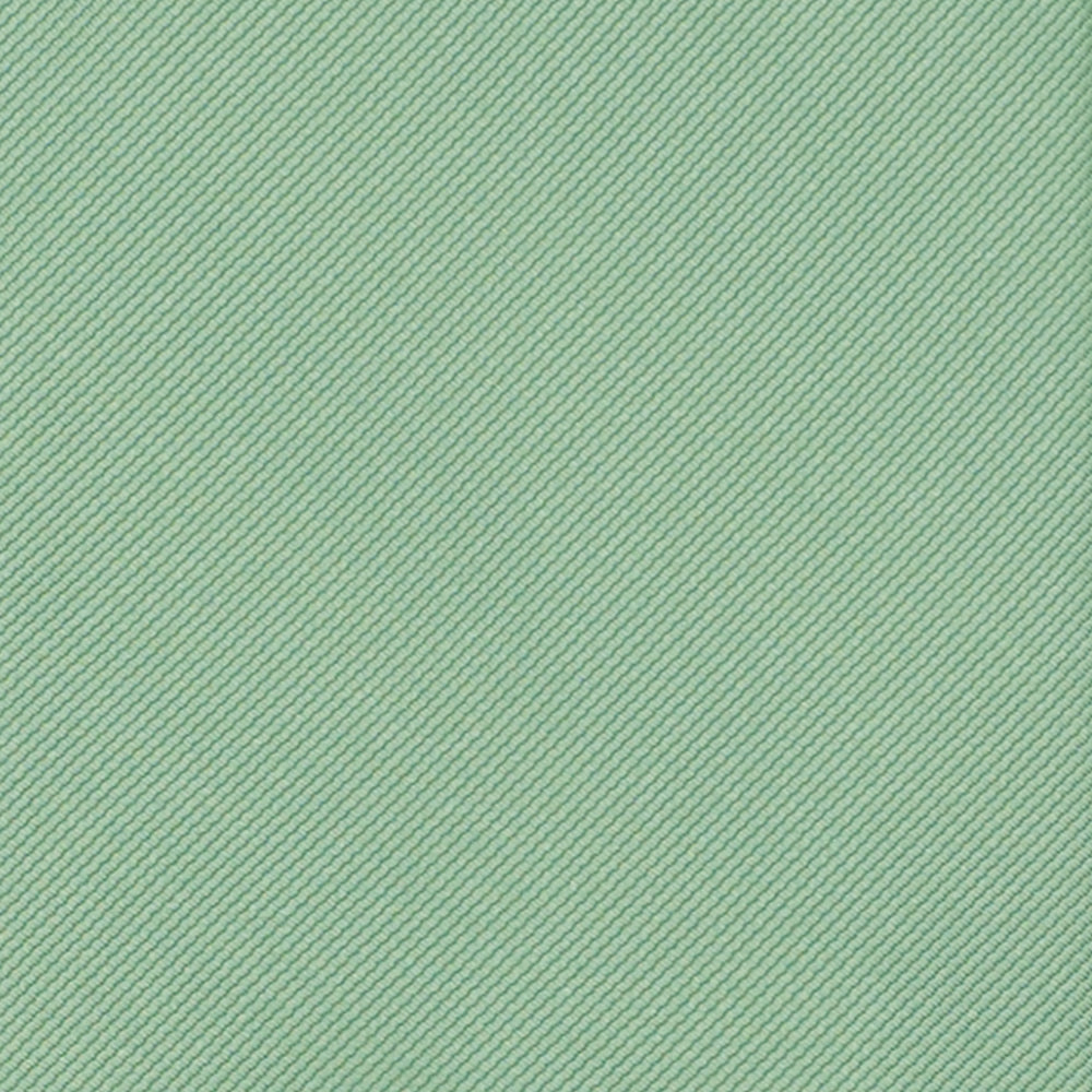 Solid Green Silk Tie - TAL297