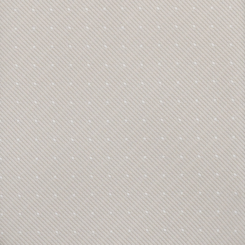 Silk Polka Dot Ceremony Tie - TAL308
