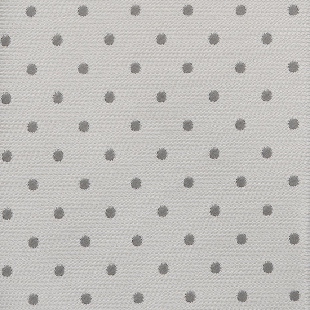 Silk Polka Dot Ceremony Tie - TAL304