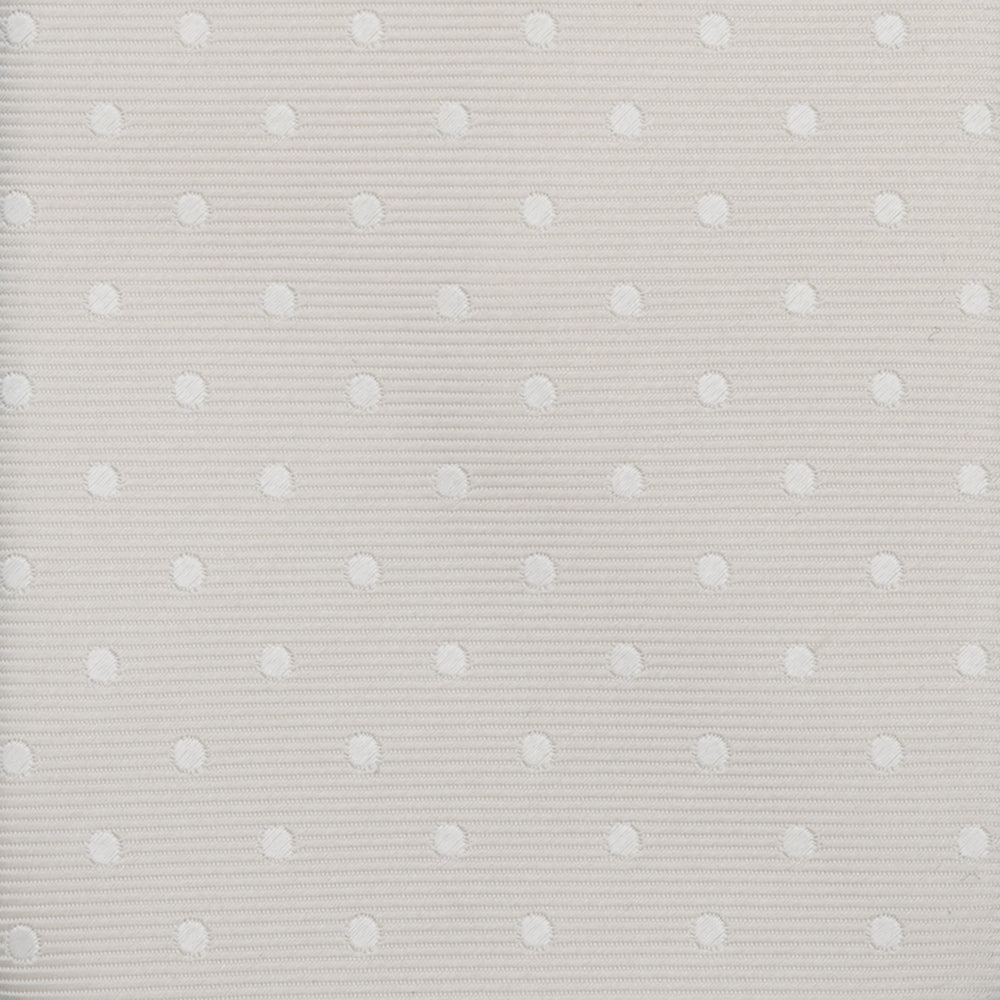Silk Polka Dot Ceremony Tie - TAL305